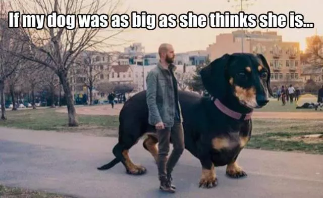 Picdump 141 - #20 