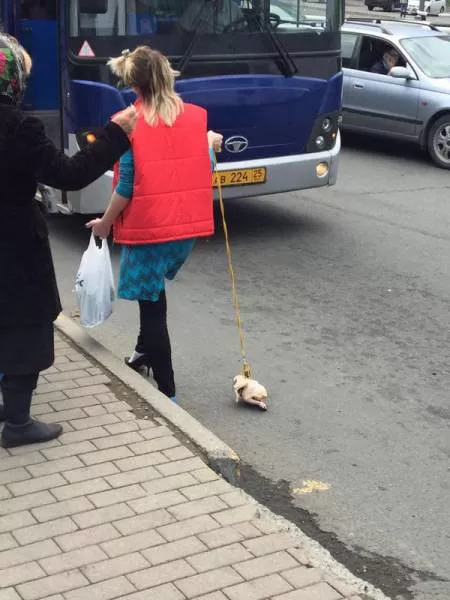 Picdump 141 - #59 