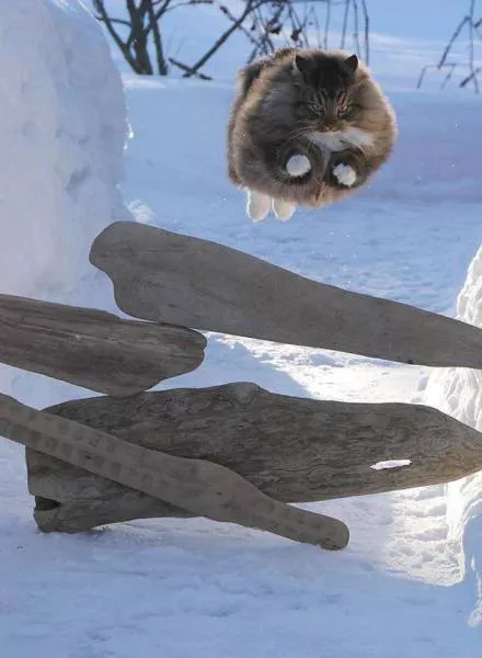 Picdump 141 - #63 