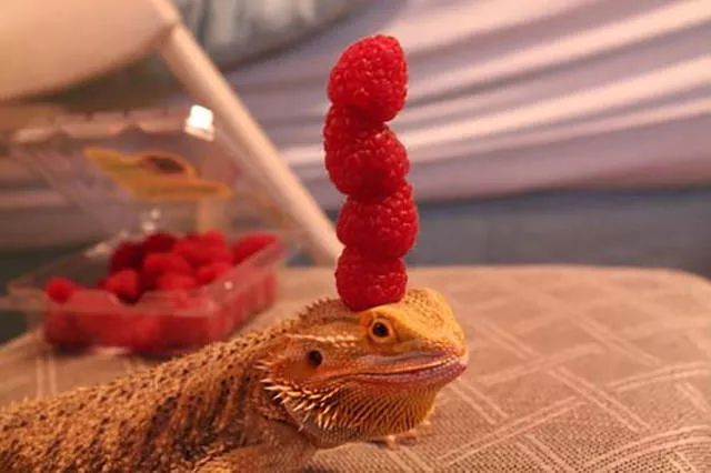Picdump 141 - #78 