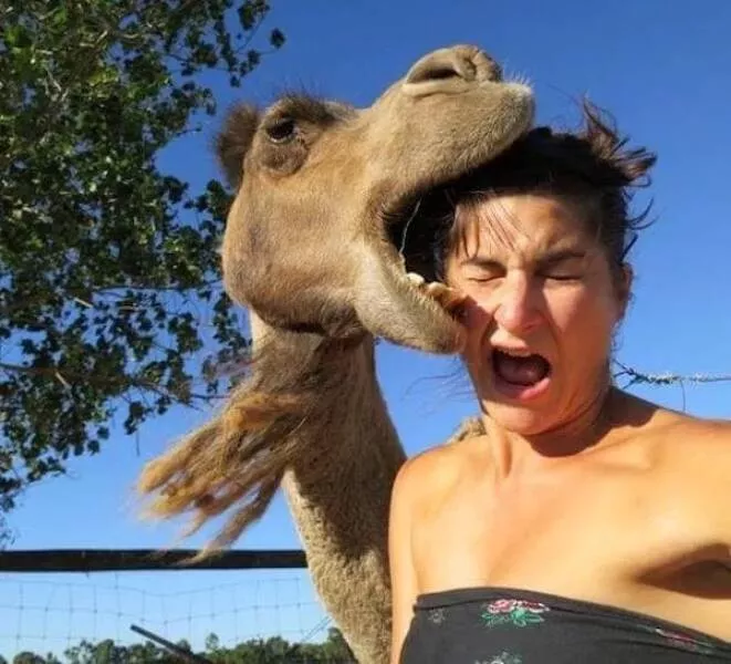 Strange snapshots from around the web - #4 