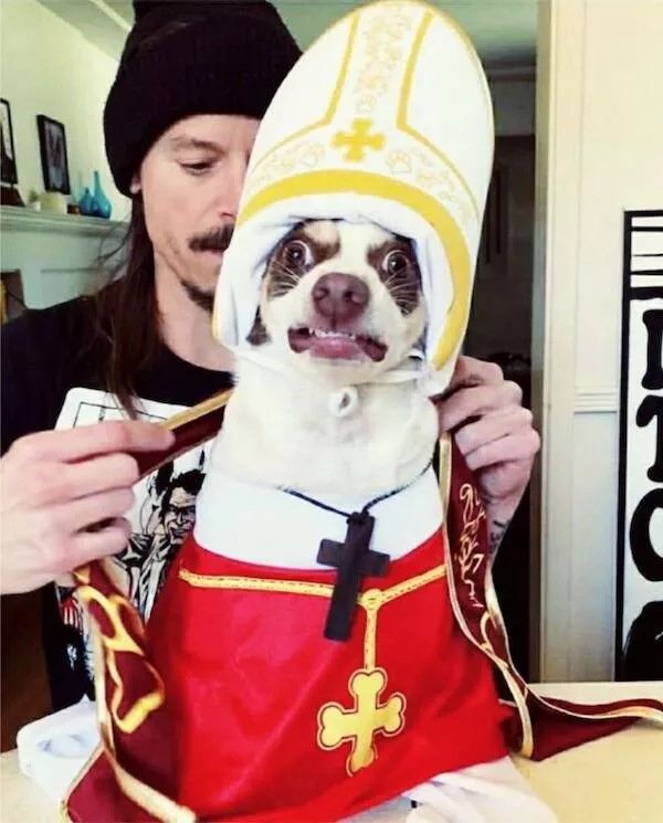 Strange snapshots from around the web - #8 