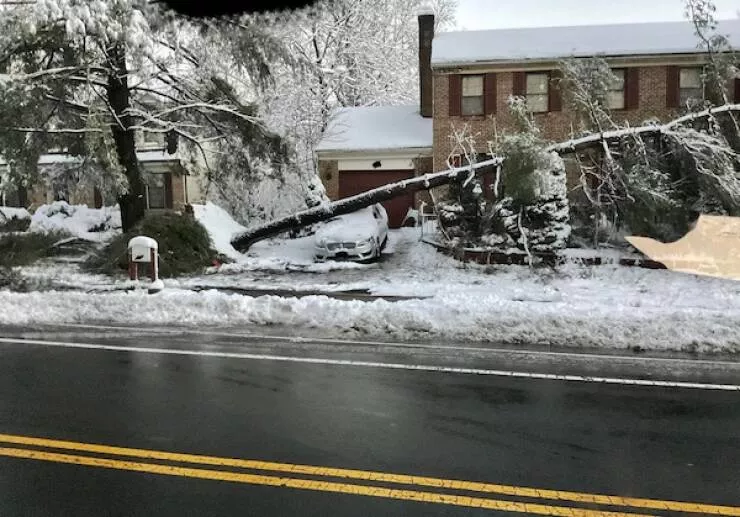 Car fails a gallery of bad luck on wheels - #8 