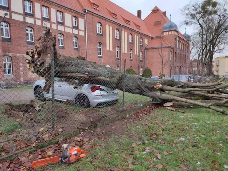 Car fails a gallery of bad luck on wheels - #9 