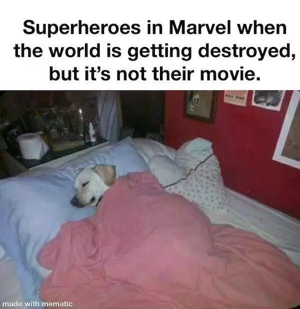 Nerdy memes for beautiful weirdos - #12 