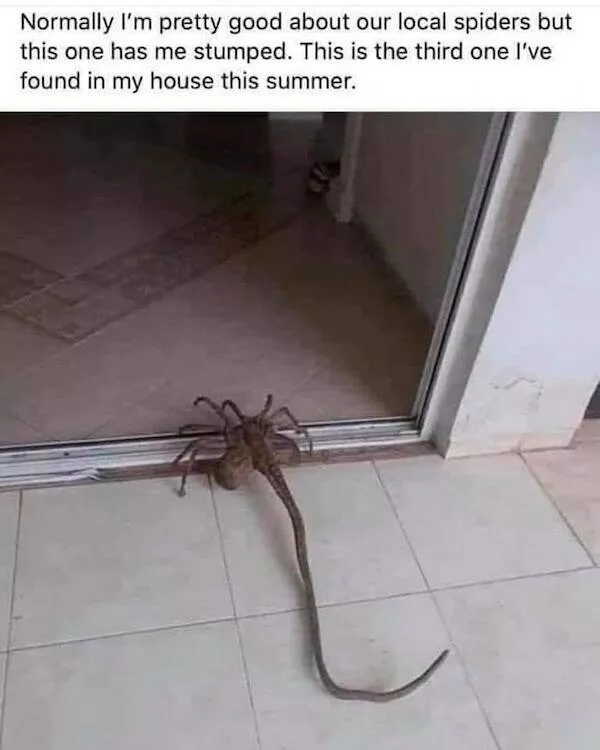 Nerdy memes for beautiful weirdos - #13 