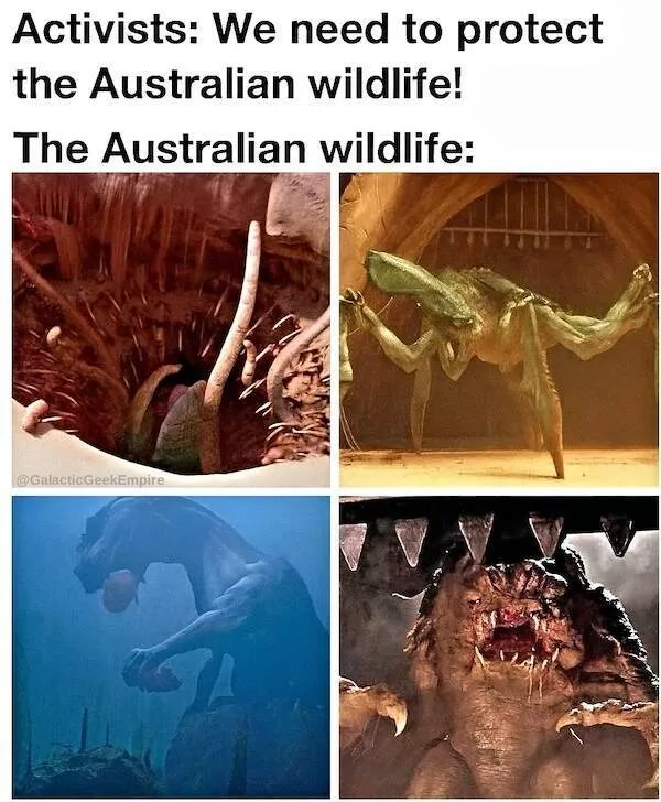 Nerdy memes for beautiful weirdos - #26 Nerdy memes for beautiful weirdos - #26