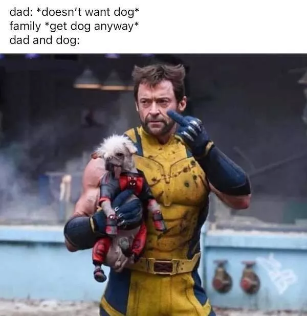 Nerdy memes for beautiful weirdos - #5 