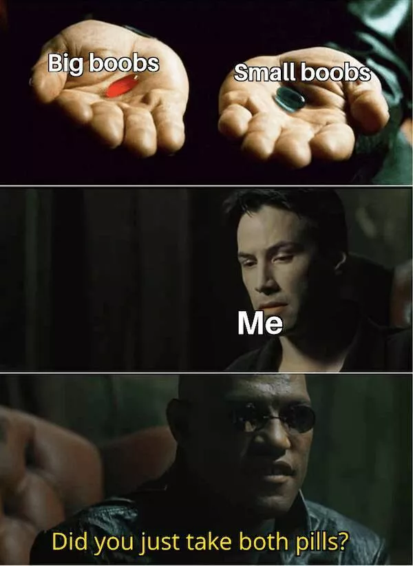 Lhumeur grincheuse des papas en memes - #25 