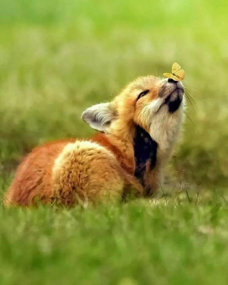 Quand le mignon frappe a la porte - #10 