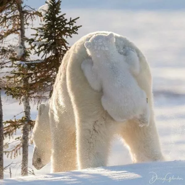 Irresistible cuteness a gallery of adorable moments - #28 