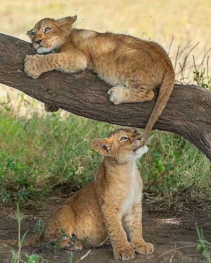 Irresistible cuteness a gallery of adorable moments Irresistible cuteness a gallery of adorable moments