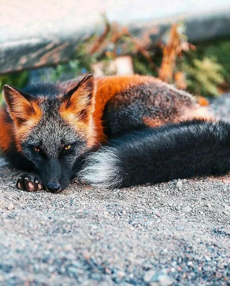 Irresistible cuteness a gallery of adorable moments Irresistible cuteness a gallery of adorable moments