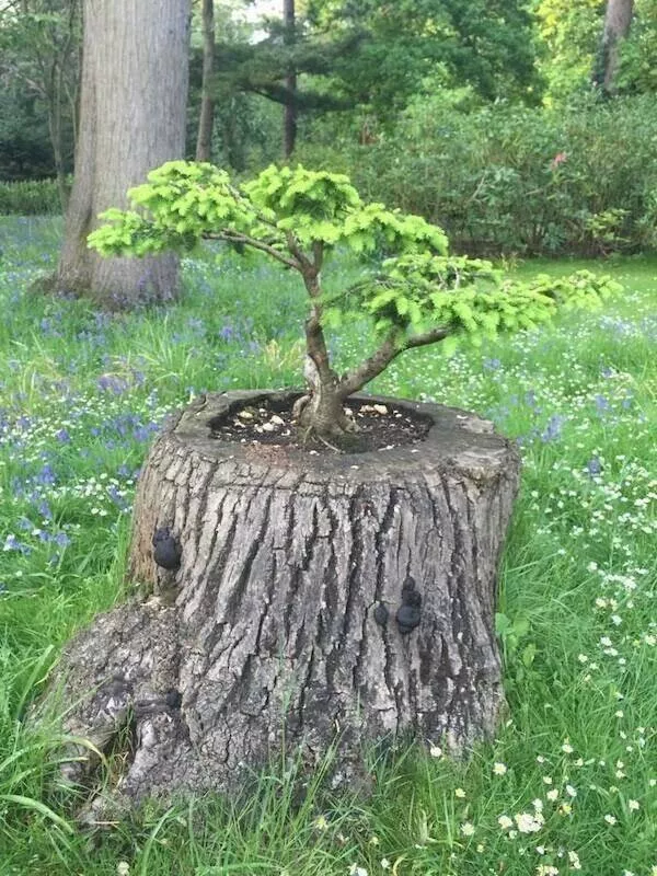 Picdump 1078 - #14 