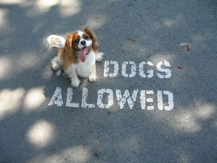 Picdump 1078