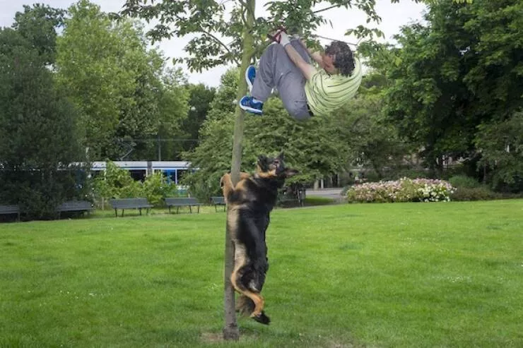 Picdump 1078 - #39 