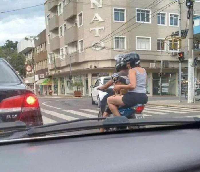 Picdump 1078 - #43 
