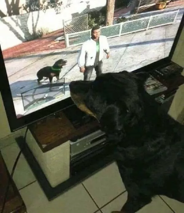 Lheure du jeu la passion du gaming