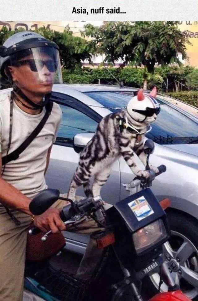 Picdump 142 - #24 