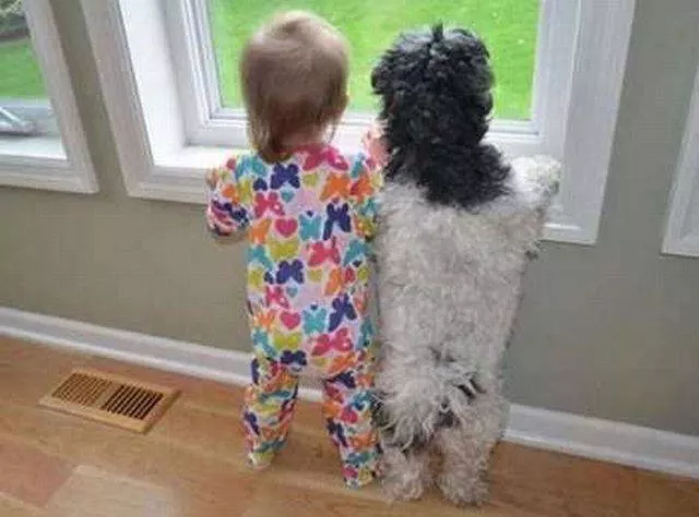 Picdump 142 - #71 
