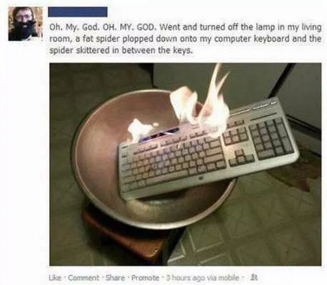 Picdump 142 - #74 