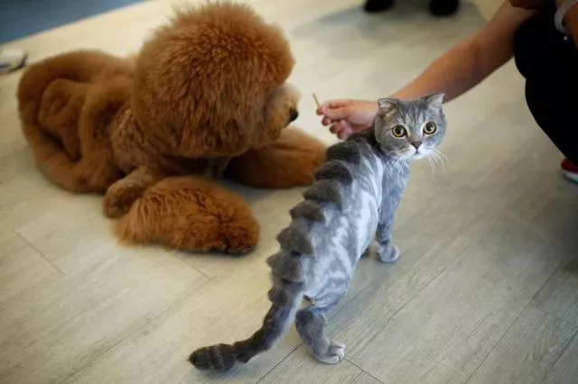 Picdump 142 - #77 