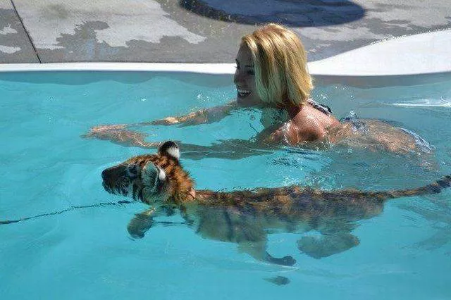 Picdump 142 - #8 