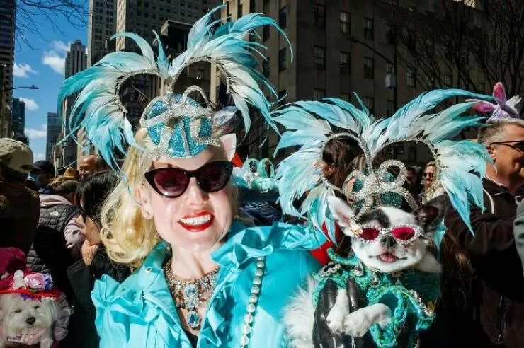 Animals in the city moments of joy - #10 