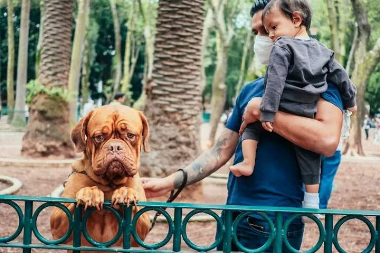 Animals in the city moments of joy - #12 