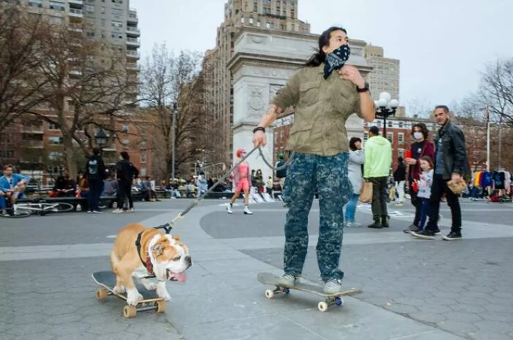 Animals in the city moments of joy - #14 