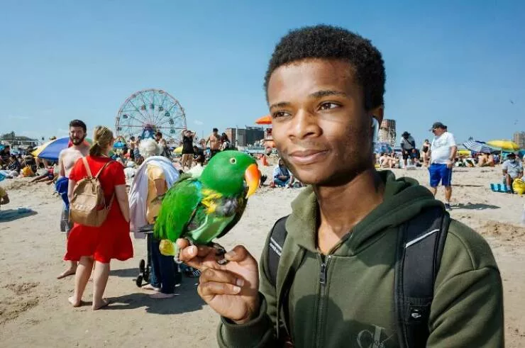 Animaux en ville des moments de joie - #26 