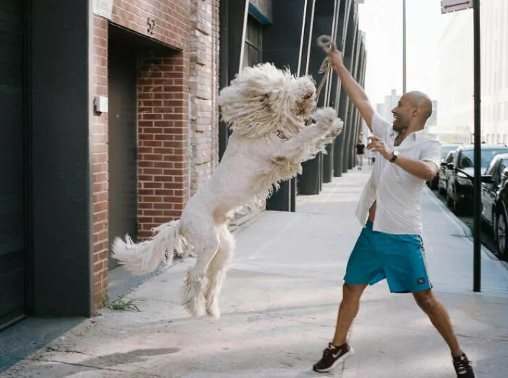 Animaux en ville des moments de joie - #3 