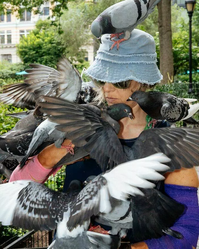 Animals in the city moments of joy - #34 