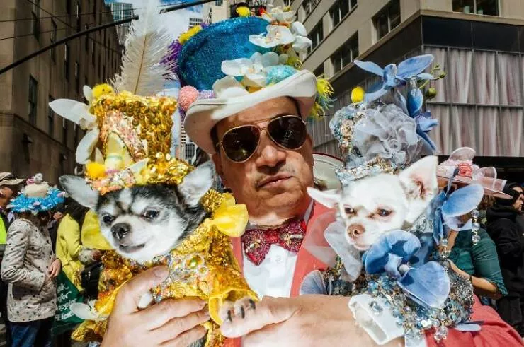 Animals in the city moments of joy - #37 