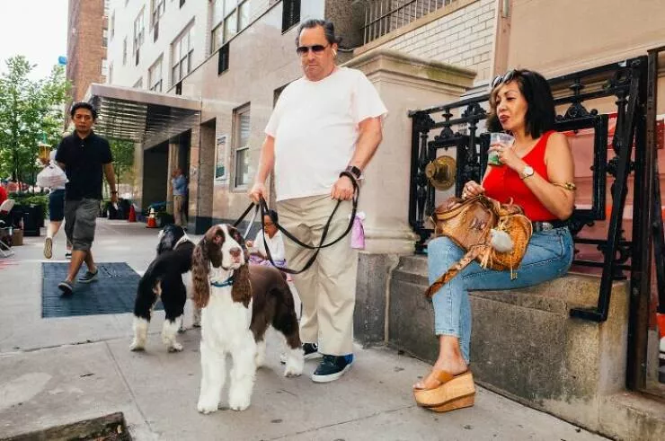 Animaux en ville des moments de joie - #38 