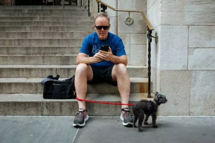 Animals in the city moments of joy - #42 