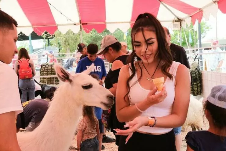 Animals in the city moments of joy - #43 