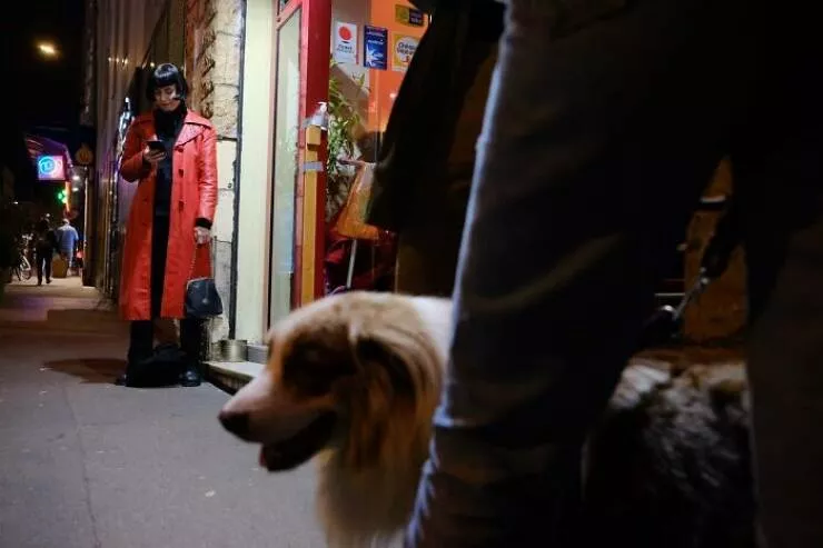 Animals in the city moments of joy - #48 