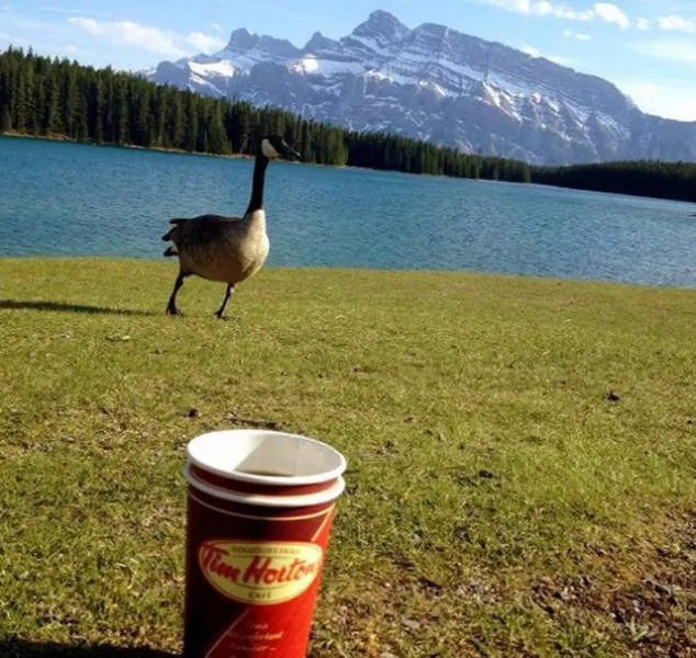 Bienvenue au canada paysages et particularites