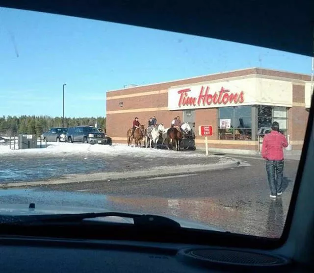 Welcome to canada landscapes and quirks - #3 