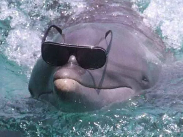 Picdump 143 - #11 