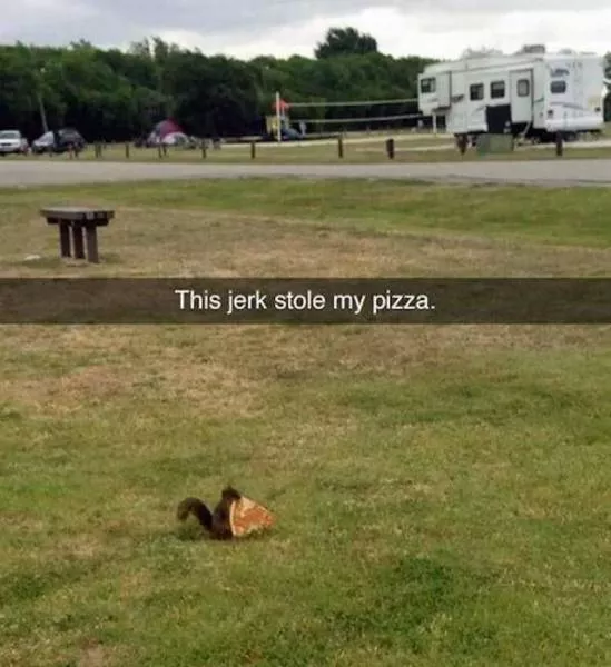 Picdump 143 - #58 