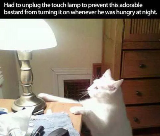Picdump 143 - #74 