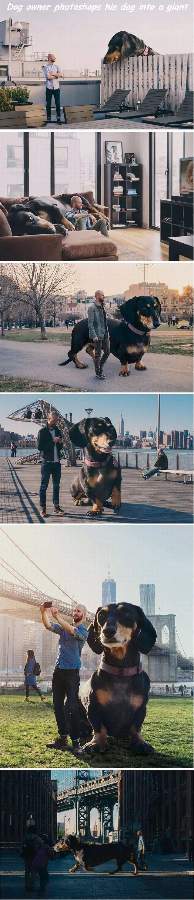 Picdump 143 - #78 