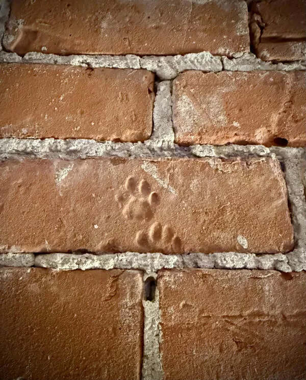 Hidden beauty a gallery of little details - #3 Kitty paw prints in a 160-year-old loft's masonry