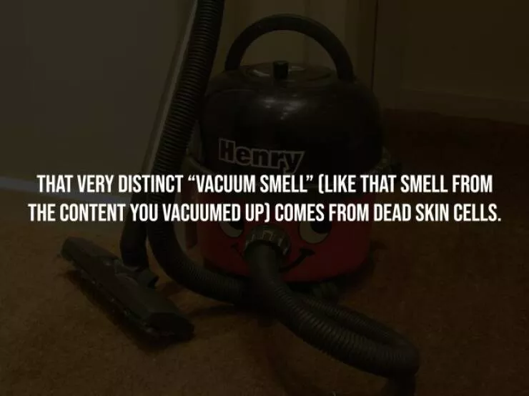 Spooky facts thatll give you chills - #1 