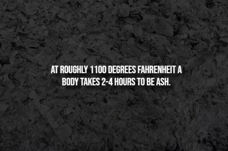 Spooky facts thatll give you chills - #13 