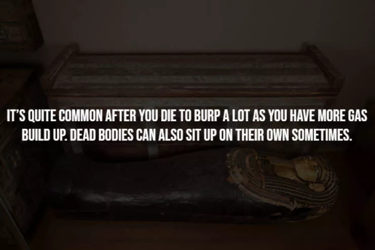 Spooky facts thatll give you chills - #14 