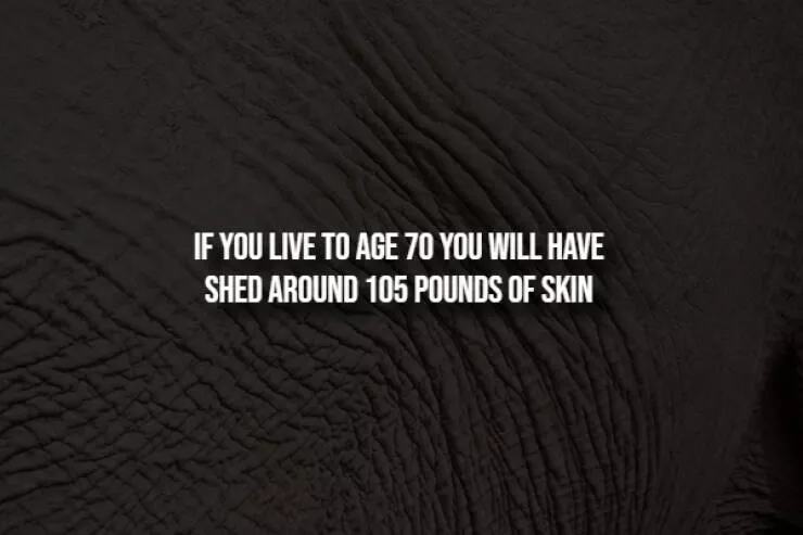 Spooky facts thatll give you chills - #4 
