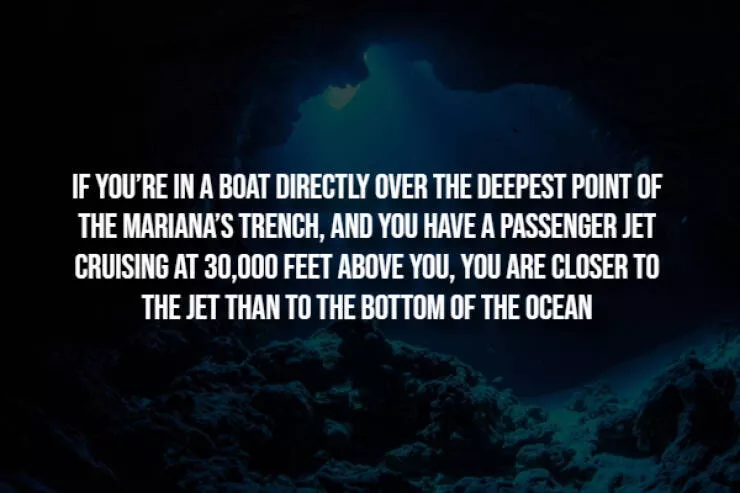 Spooky facts thatll give you chills - #5 